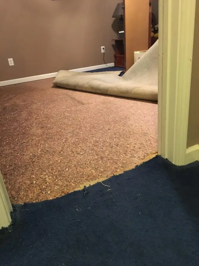 Carpet pad removal revealing water damage during Drying & Dehumidification in Burrillville
